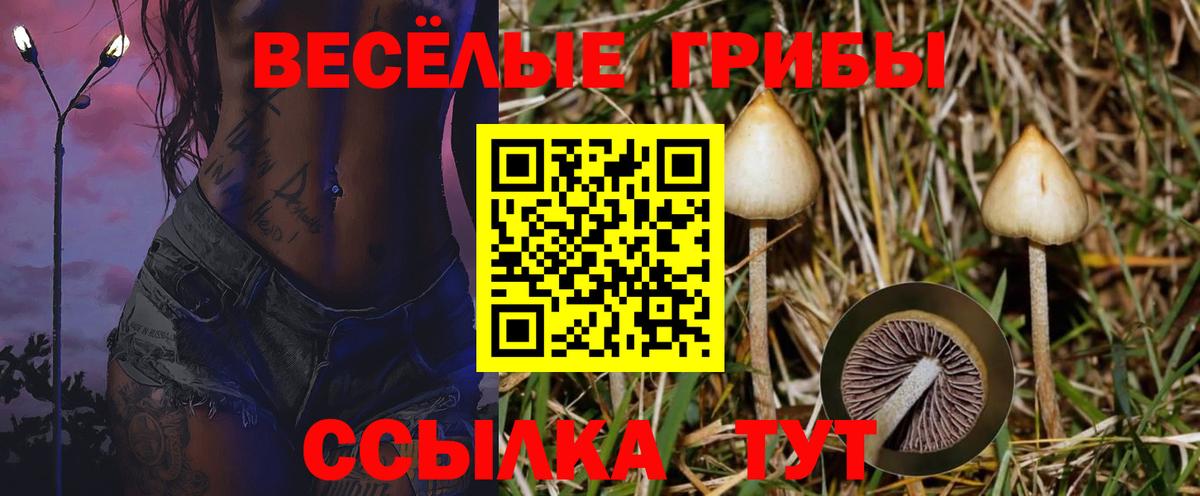 Сергиев Посад  Псилоцибиновые грибы мухоморы  Вход с VPN 